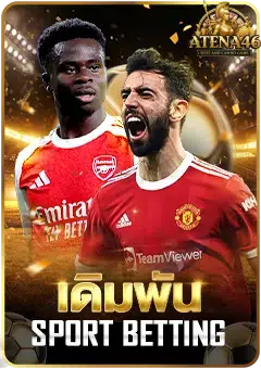 เดิมพันบาคาร่า